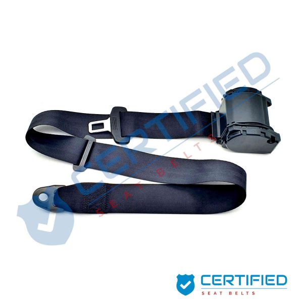Seat Belt Rock And Roll Bed